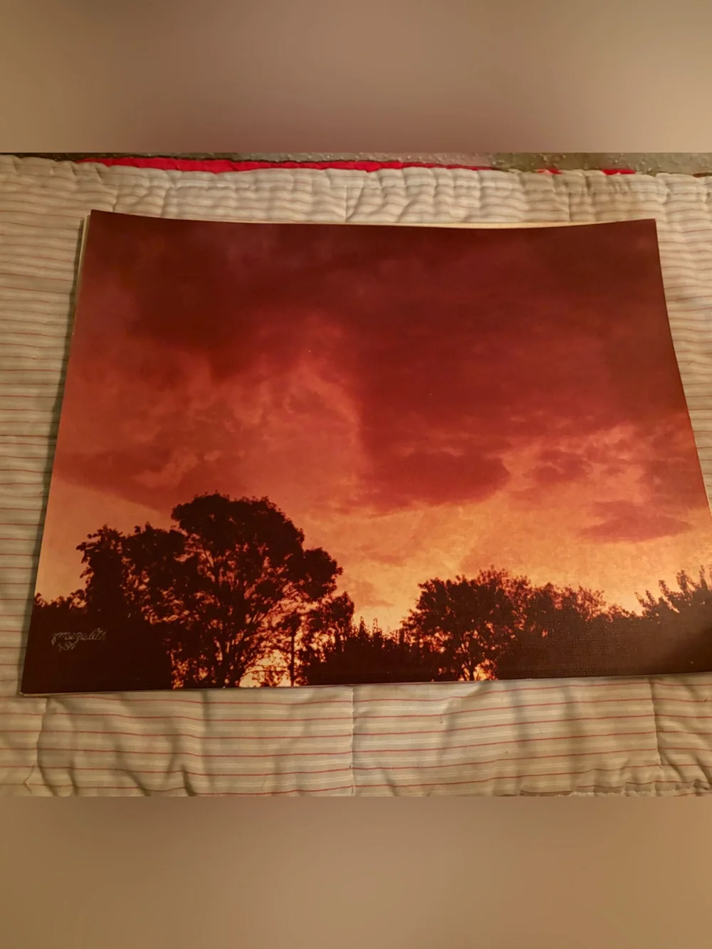 Sunset Silhouette Wall Art - Orange Landscape Print Signed Meredith 1984
